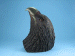 AS Eagle Head