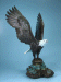 AS510 Eagle on Stone